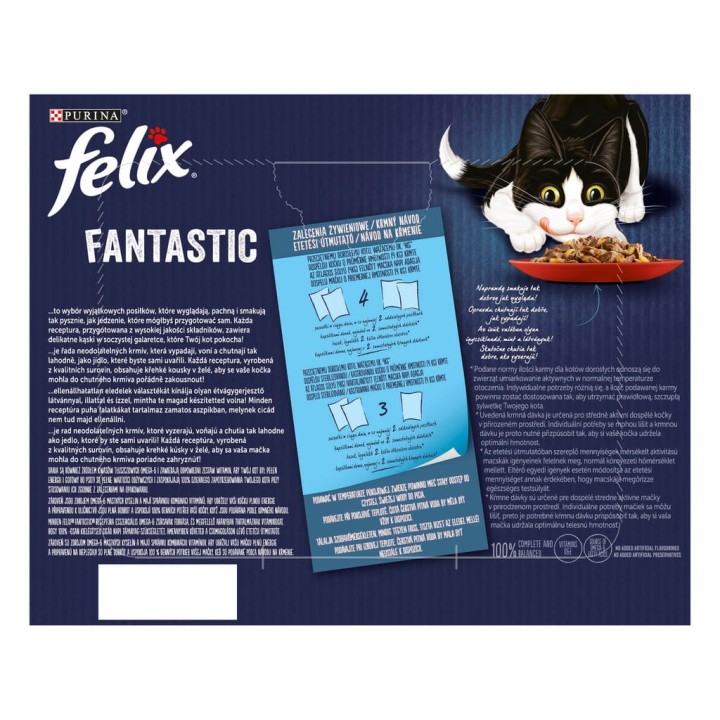 Felix Fantastic Karma dla kotów wiejskie smaki w galaretce 24 x 85g