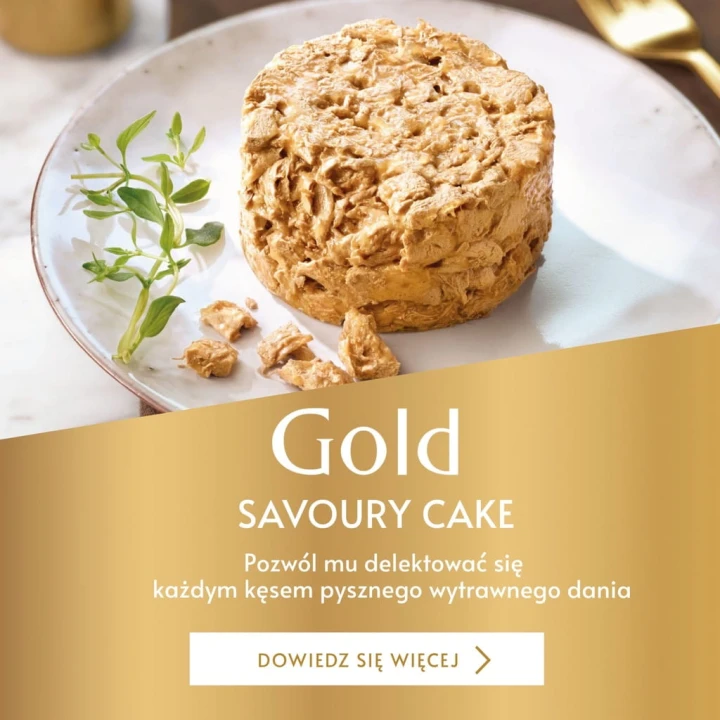 Gourmet Gold Savoury cake mokra karma dla kota wołowina pomidory 85g