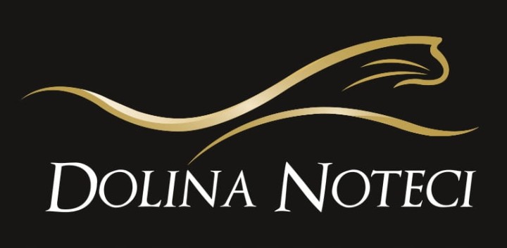Mokra karma dla psa Dolina Noteci Premium bogata w jagnięcinę 400g