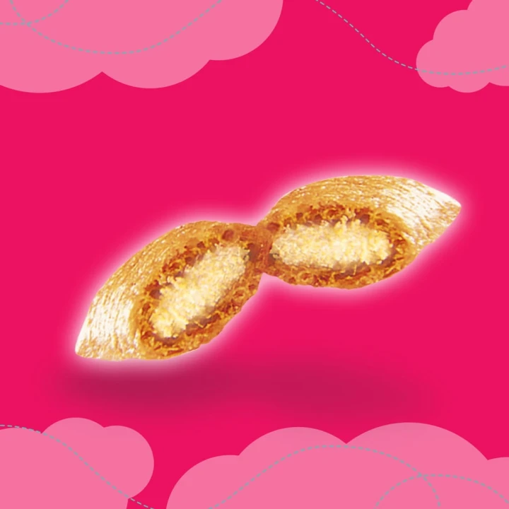 Dreamies Przysmaki dla Kota z kurczakiem 60g