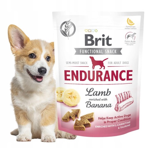 Brit Care Dog Functional Snack Endurance Lamb Przysmaki dla Psa 150g