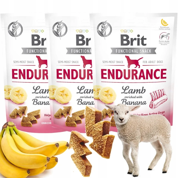 Brit Care Dog Functional Snack Endurance Lamb Przysmaki dla Psa 150g