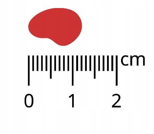 Pan Mięsko sucha karma dla szczeniąt XS z cielęciną i przepiórką 3 kg